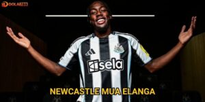 Newcastle mua Elanga: Dola789 cho rằng thương vụ này sẽ thay đổi cục diện EPL?